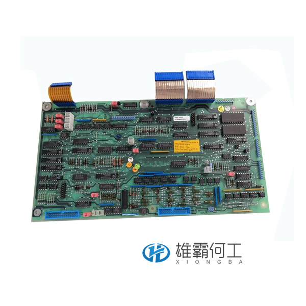 YPQ101E YT.葉送惠.20211009_162131 (1).jpg