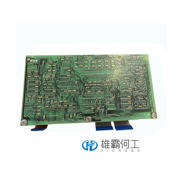 YPQ101E YT.葉送惠.20211009_162131 (2).jpg