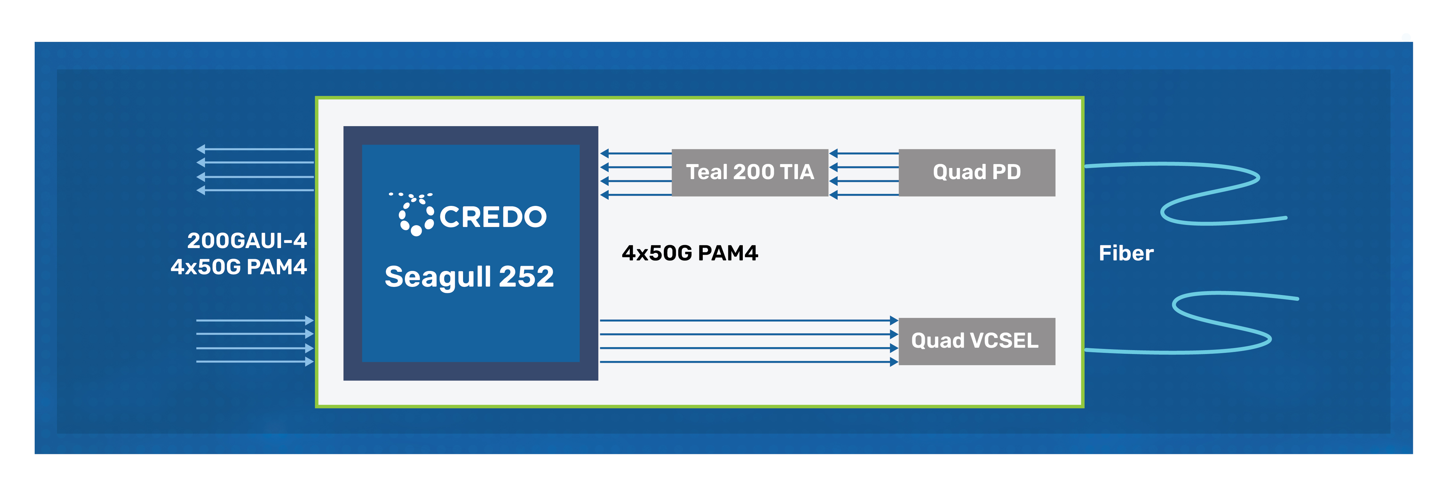 1693972435695109.jpg 1693972435695109.jpg