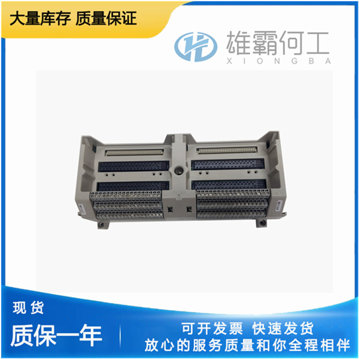 EMERSON 1B30035H01 總線終端