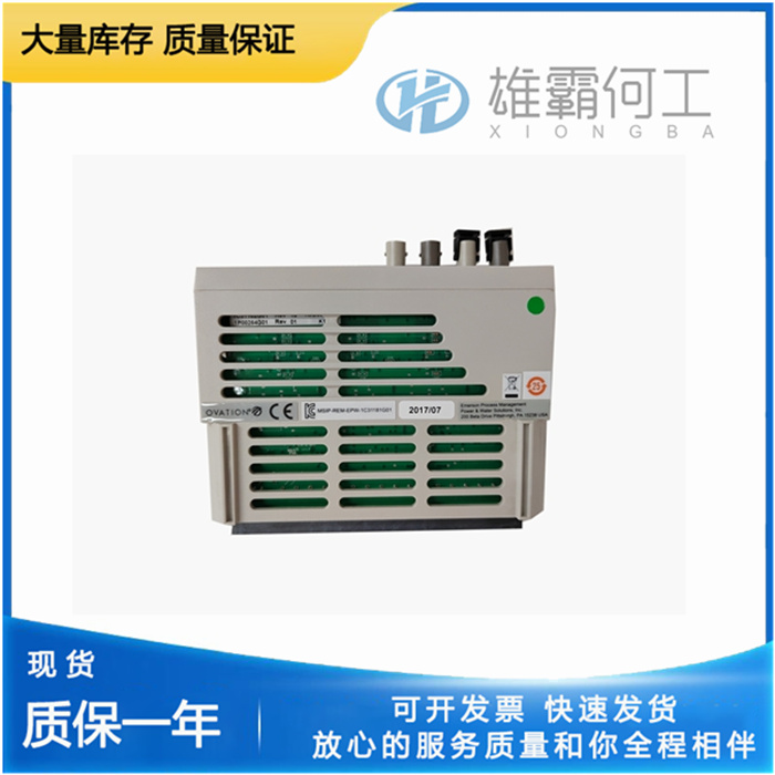 EMERSON 1C31181G02 數(shù)字輸出