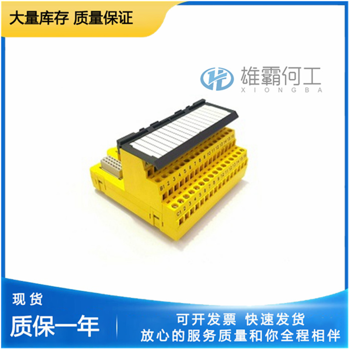 EMERSONKJ22 01X1-BA1 邏輯求解器