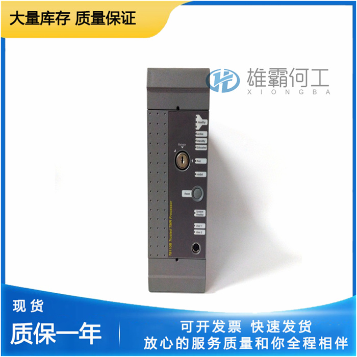 T8110B.jpg