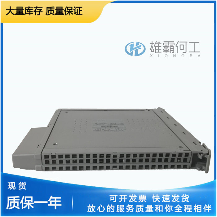 ICS Triplex T8431C 開(kāi)關(guān)量輸出子模件