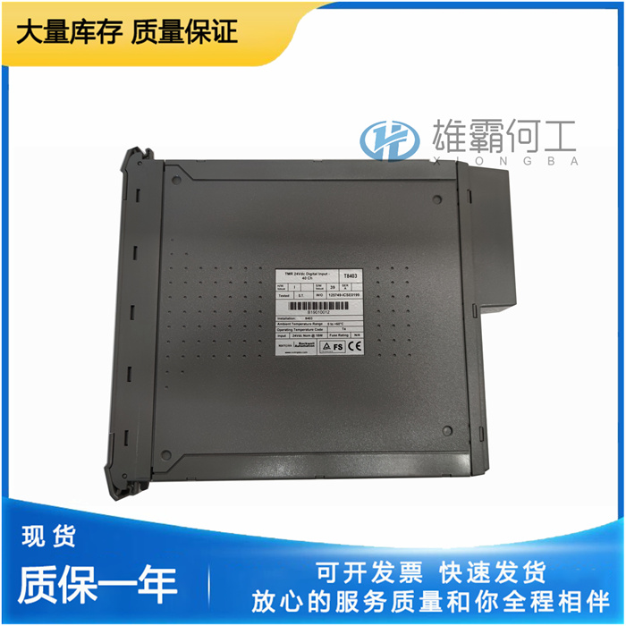 ICS Triplex T8451C 數(shù)字量模塊
