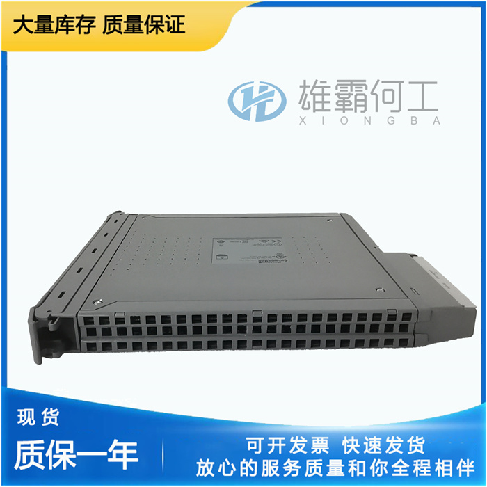 ICS Triplex T8480 模擬輸入輸出
