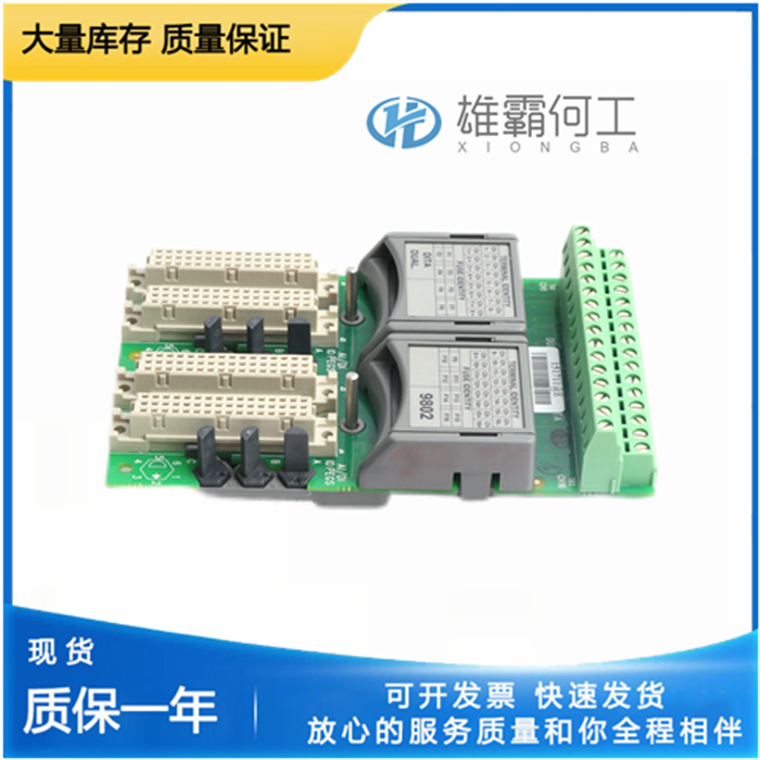 ICS Triplex T8111 數(shù)字量輸入模塊 