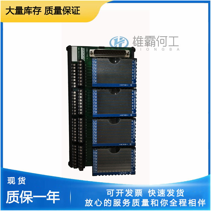 FOXBORO P0916CA 電壓監(jiān)測器